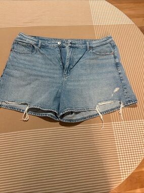 American Eagle Outfitters Light Blue Distressed Denim Shorts